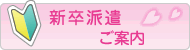 新卒派遣ご案内